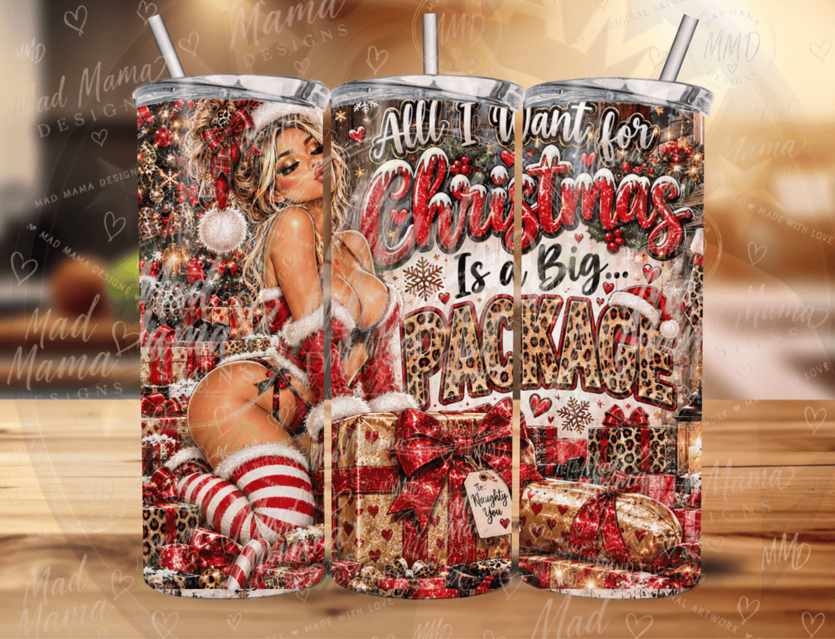 All I want for Christmas is a big package funny adult tumbler